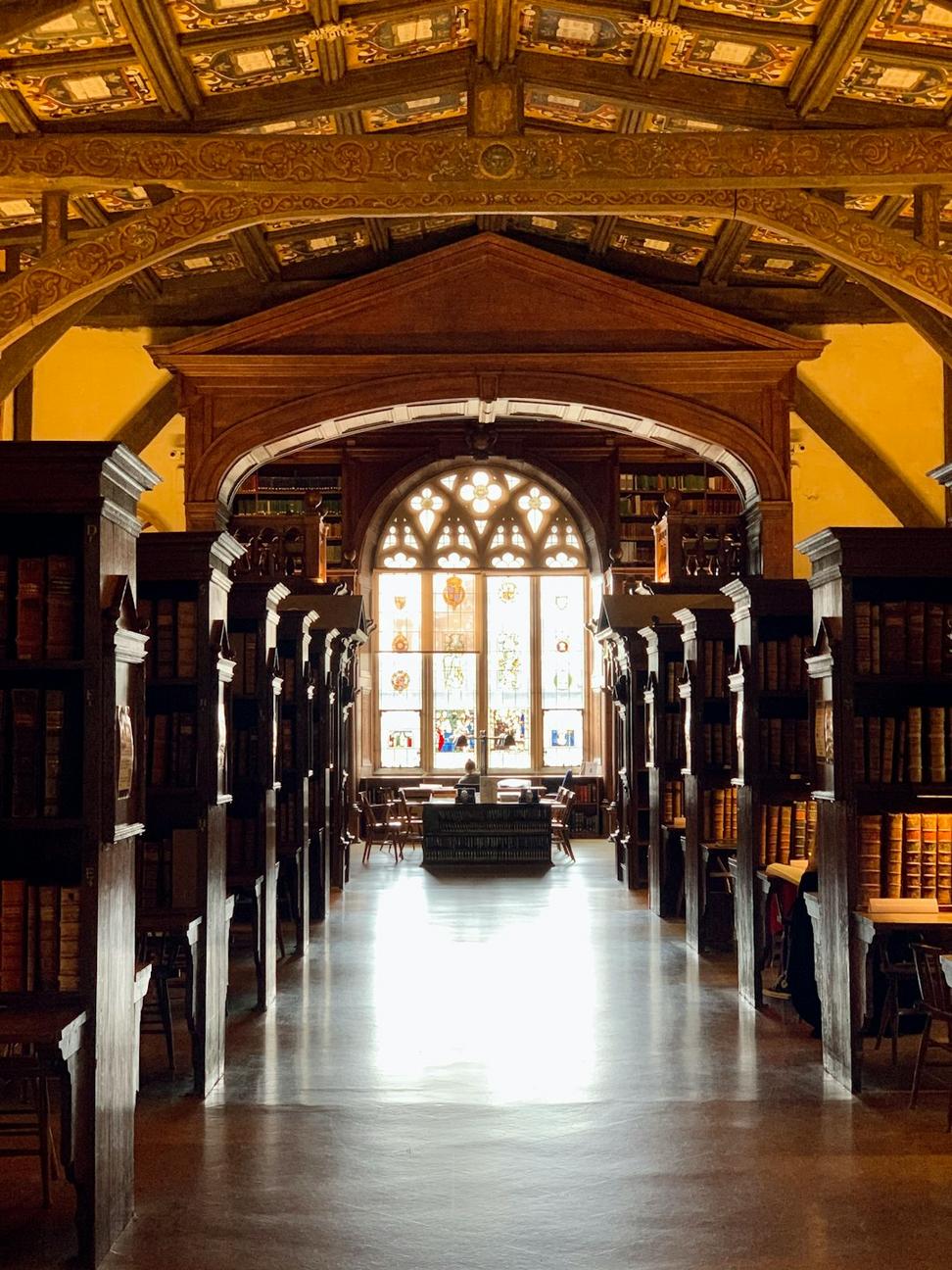 Fantasy-Themed Interiors